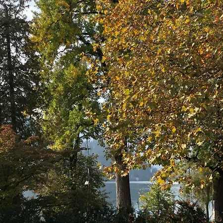 Kolman Bled
